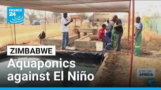 YouTube video thumbnail: Zimbabwe Farmers Brace for El Niño by Saving Water