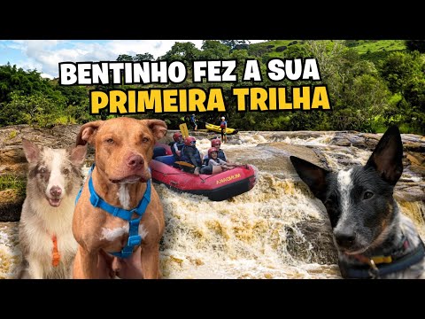 24 Horas Com A Gente | O Bento Fez A Sua Primeira Trilha