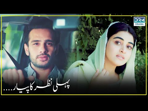 Ek Nazar Mein Dil Haar Gaya💓😍| Noor | Dramas World | C1B2N