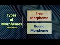 Understanding Bound and Free Morphemes