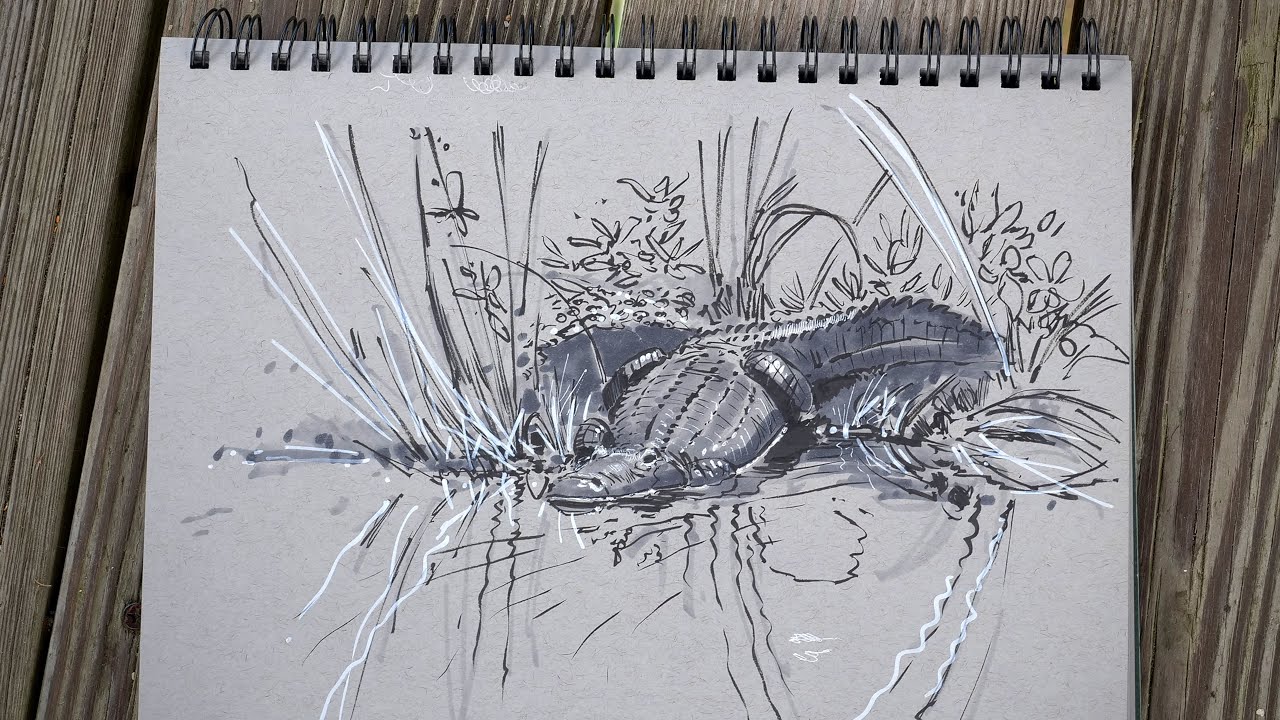 Sketching in the Wild with Aaron Blaise - Proko