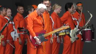 DAVID BYRNE  -  (NOTHING BUT) FLOWERS