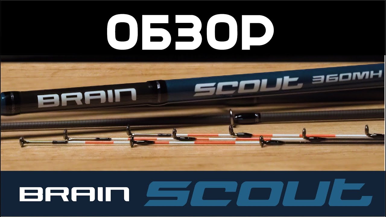 Обзор фидерного удилища Brain Scout