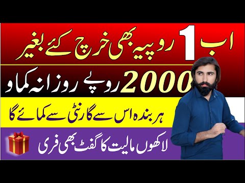 Everyone can earn upto 2000 Rs daily without investment l Business School