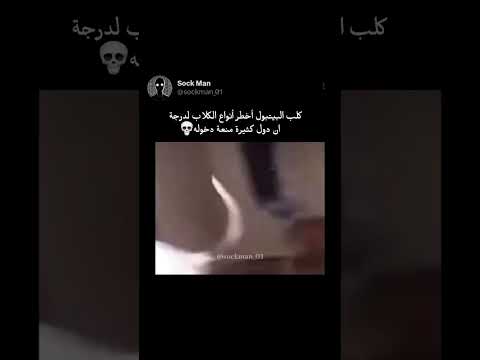 لو كنت مكانها ماذا كنت ستفعل 💀