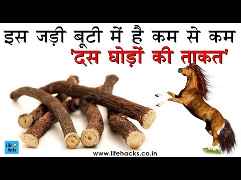 जानिये इस जड़ी बूटी को 'दस घोड़ों की ताकत' क्यों कहते हैं? Know About This Magical Herb