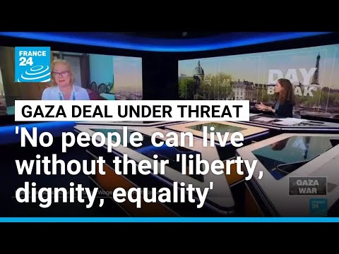 YouTube video thumbnail: Maintaining the Ceasefire in Gaza: An Analysis by Activist Hyam Tannous