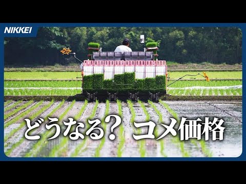 【米価高騰なぜ？】日本の米作りに難題　急げ、政策の大転換