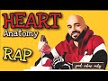 Understanding the Human Heart