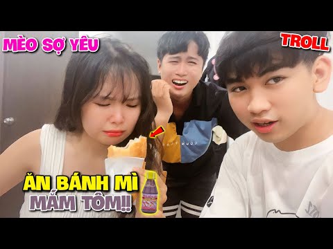 Tuấn Kha Troll Mèo Sợ Yêu Ăn Bánh Mì Mắm Tôm Và Cái Kết?