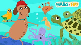 Mabô e Fifi e OS ANIMAIS DO OCEANO 🐠🐙 vídeo infantil educativo com músicas