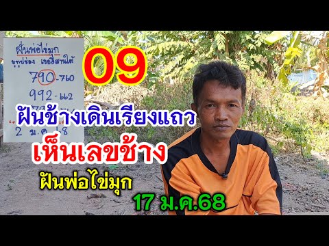 09 ฝันเห็นช้างเดินเรียงแถว เห็นเลขช้าง ฝันพ่อไข่มุก 17 ม.ค.68