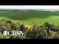 Amazon Rainforest Ecosystem Challenges