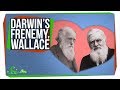 Darwin and Wallace: The Evolutionary Pioneers