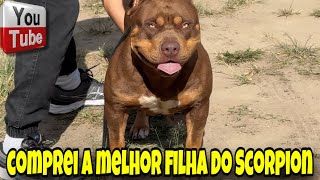 🎨 COMPREI A MELHOR FILHA DO SCORPION!