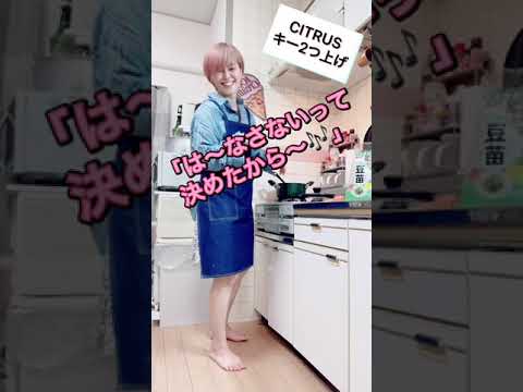 TikTok で180万回再生【CITRUS】歌うまママがキッチンで子どものリクエストに応えてみた。Da-ice cover by Rimoママ