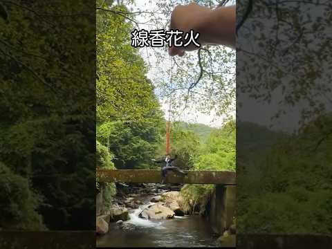 なんの風情も感じない線香花火 #shorts