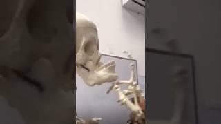 SUA VOZ NÃO É COMO VOCÊ PENSA! 😱
