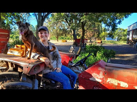 "Jóven MUJER de CAMPO con su PERRITA dan gran LECCIÓN al MUNDO" | Su CAPACIDAD de trabajo es IRREAL