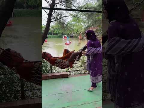 তোকে পানিতে ফেলে দেব 😄