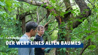 Unterwegs mit der Initiative Lebendiger Campus | REKLINEU