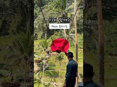 발리스윙 현실판 (feat. 붉은박쥐)