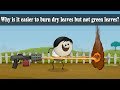Understanding Ignition Temperature
