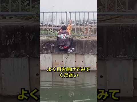 溺れた猫を救う男