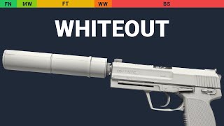 USP-S Whiteout Wear Preview