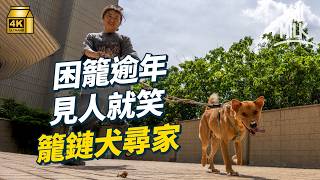 #MM｜香港有籠鏈犬長期住籠或用鐵鏈栓著生活 動物記者與義工創立籠鏈犬關注組｜#700萬種生活 #4K