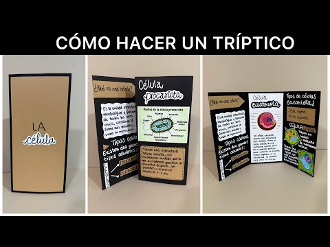 Estructura y decoración de TRÍPTICO TAMAÑO MEDIANO de la CÉLULA | La célula y sus tipos