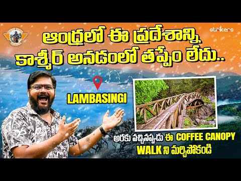 Lambasingi Araku Short Trip For weekend || Coffee Trail At Araku Sunkarmetta|| Telugu Travel Vlogger