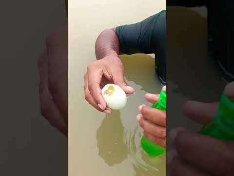 কাঁচা ডিম দিয়ে ঠান্ডা খেলাম #foryou #foryoupage #viral #viralvideo #trend #trending #shorts #short