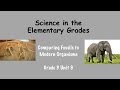 Fossils and Their Significance