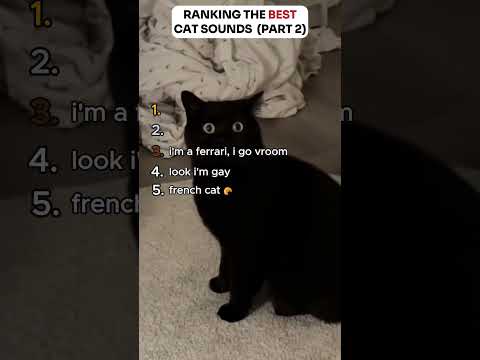 Ranking The Best Cat Sounds ❤️| Part 2