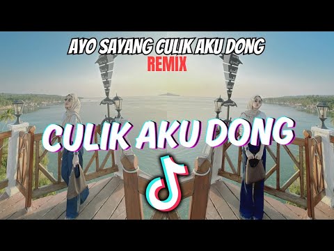 DJ CULIK AKU DONG | AYO SAYANG CULIK AKU DONG REMIX VIRAL 2024