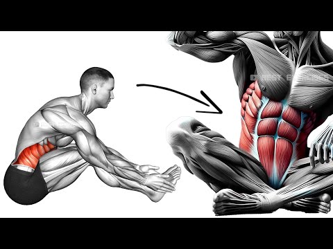 Seated Abs Workout to Lose Belly Fat in 7 Days at Home