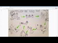 Story Mapping and Little Red Riding Hood