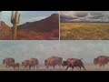 Pony Express History and Operations