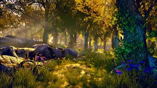Enchanted Forest Ambience | Peaceful Fantasy Music for Relaxation, Reading & Studying