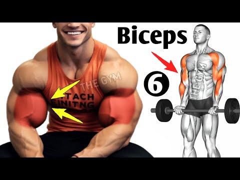 6 Must-Try Bicep Exercises for Massive Size and Peak Definition