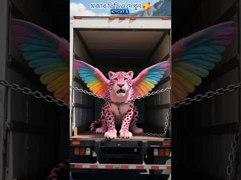 বাঘকে কি বাঁচাতে পারবে 😭#cat