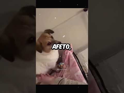 Hope sofreu 4BUSOS graves que perdeu a fé na HUMANIDADE 💔