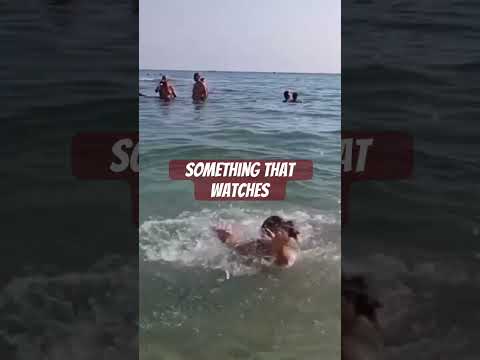 Beneath The Surface Something Watches