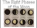 Exploring Moon Phases with Oreo Cookies