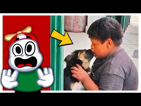 Estos Memes De Tiktok Te Quemaran El Cerebro / Memes Con Omenaso