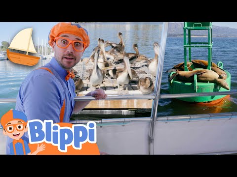 What Animals WIll Blippi Find On His Boar Ride? 🚢 Learn About Animals | Educational Videos for Kids