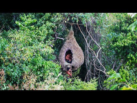 Amazing House Animal Nests Flower Grass | Primitive technology , Building Skill