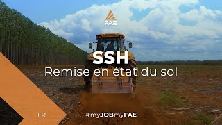 Vidéo - FAE SSH - SSH/HP - Trois préparateurs de sols FAE SSH au travail dans la terre orange du Brésil