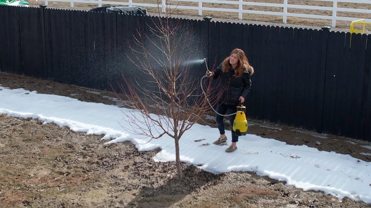 Spraying Fruit Trees & Planting Peppers!